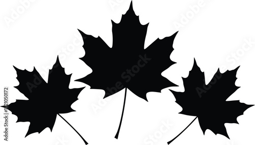 Three black silhouettes of maple leaves with stems isolated on white