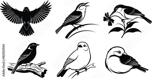 Vector collection of various black and white songbirds, including silhouettes and line art, perched on branches, flying, and feeding on a flower, ideal for cad drawing flat vector illustration