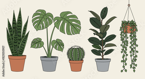 Adobe Illustrator Artwork