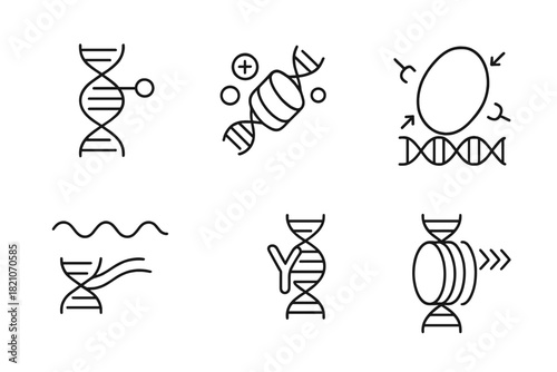 Epigenetic Mechanism Icons. Line style icons of epigenetic mechanisms: DNA methylation, histone modification, chromatin remodeling