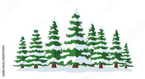 Group of evergreen fir tree forest covered with snow isolated on