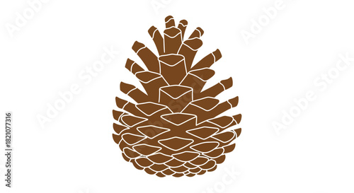 Stylized brown pine cone illustration isolated on
