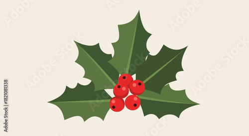 Simple illustration of a holly branch with red berries on light background