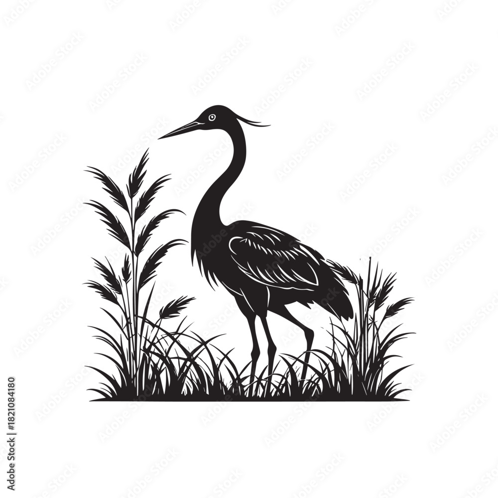Obraz premium Exotic crane or heron bird
