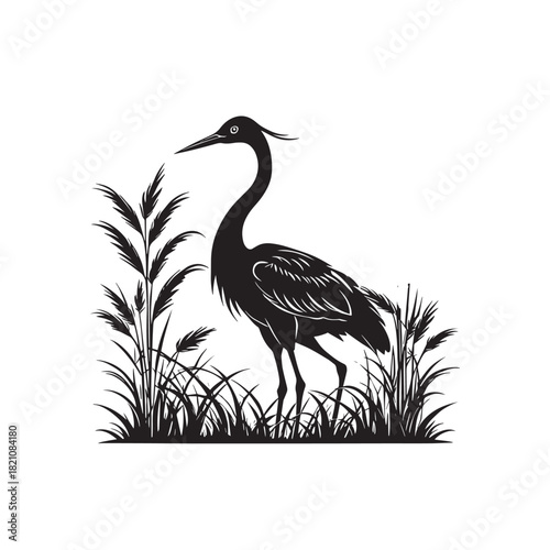 Exotic crane or heron bird
