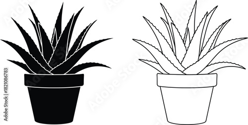 Two aloe vera plants in pots a black and a white outline