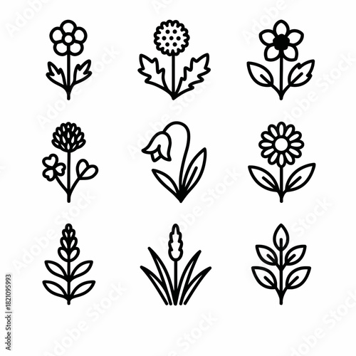 Black and white floral line art: nine minimalist flower and leaf designs