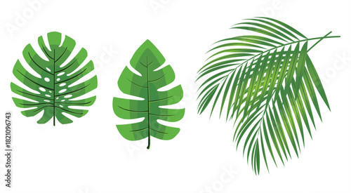 This is an icon of palm leaves and the like.