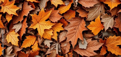 Intricate textures of dried leaves, autumnal browns and golds,  fall,  detail