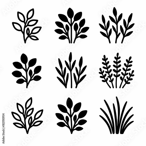 Set of nine black plant silhouettes: minimalist botanical design elements