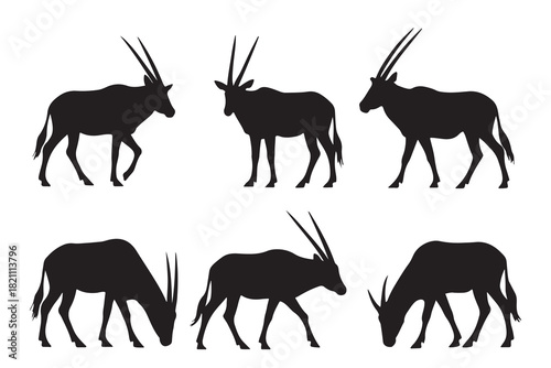Collection of oryx antelope silhouettes in various poses isolated on white background
