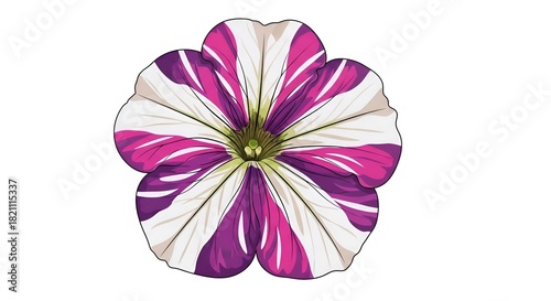 Vibrant Striped Petunia Flower Vector Illustration