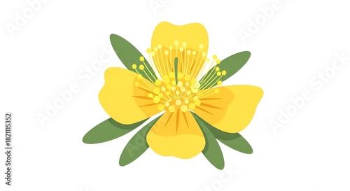 Bright Yellow Flower Illustration on White Background