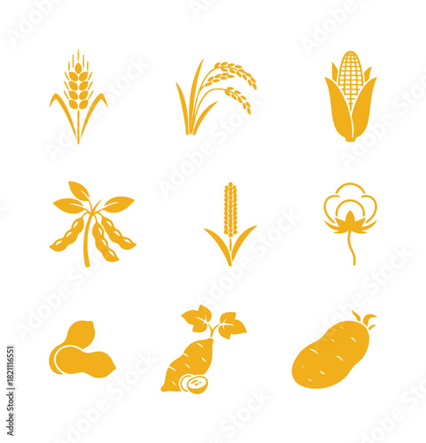 Yellow Cereal and Staple Crop Icons. Wheat, Rice, Corn, Soybean, Peanut, Sweet Potato, Potato and Cotton Minimalist Vector Symbols.