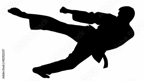 Dynamic silhouette of a martial artist executing a powerful side kick, perfect for fitness, strength, and discipline concepts in sports and self defense