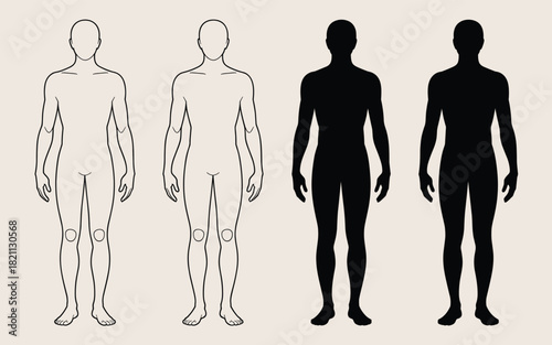 Human Body Outline and Silhouette Vector Graphics