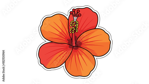 A red and orange hibiscus flower with a white outline