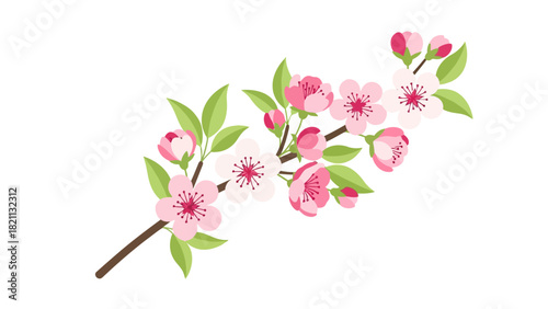 A stylized branch with pink and white cherry blossoms and green leaves