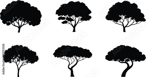 Tropical Tree Silhouette Vector Set: Lush Foliage and Rounded Canopy Trees, Nature and Forest Graphics, Black Illustration Collection, Landscape and Garden Elements, Exotic Flora Design.