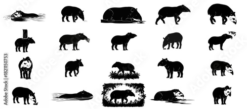 ecosystem architects tapir silhouettes embodying rainforest grace and vital wildness, isolated on transparent background