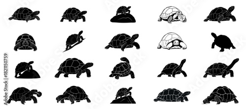 generational grace silhouettes of enduring spirit and earths ancient guardians, isolated on transparent background