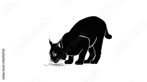 sacred sip a wildcat silhouette reflects natures fundamental quest for life, isolated on transparent background