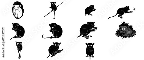 nights gaze tarsier silhouettes capturing the essence of jungles tiny wonders, isolated on transparent background