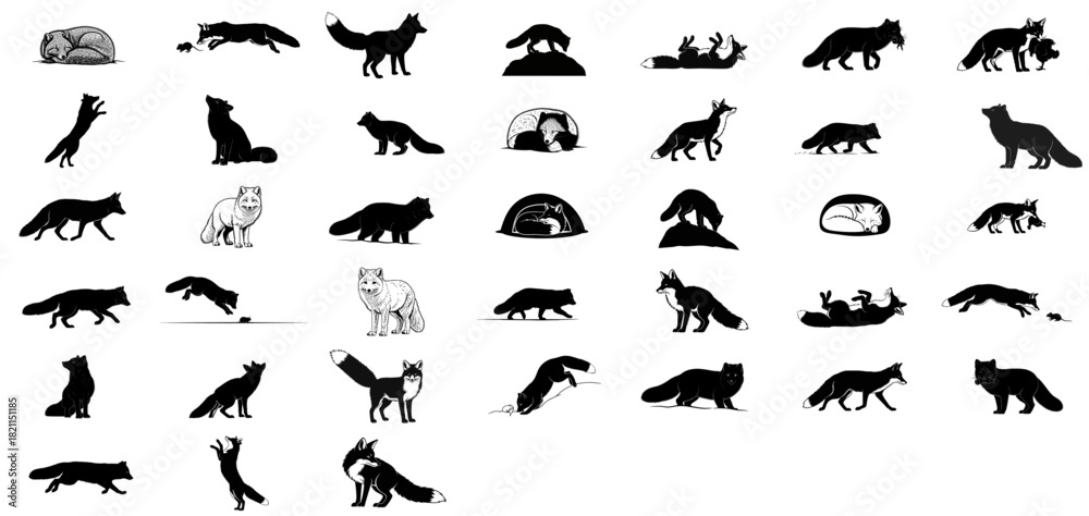 Naklejka premium wild instincts, playful spirit the versatile life of the elusive fox, isolated on transparent background