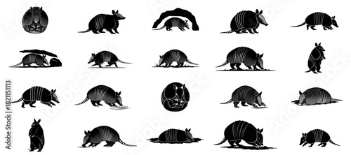 armored earth architects diverse armadillo forms capturing resilience and wild essence, isolated on transparent background