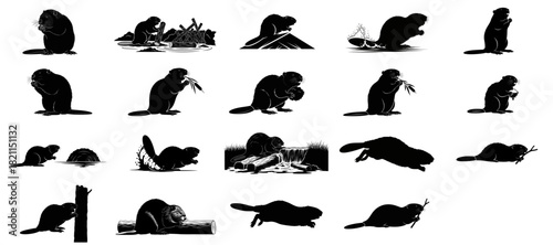 waterway weavers natures industrious engineers sculpting wild aquatic habitats, isolated on transparent background