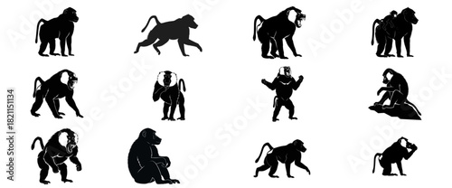 wild narratives baboon silhouettes charting the diverse journeys of african primate life, isolated on transparent background
