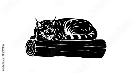 apex of calm wildcats undisturbed rest, a study in wilderness stillness, isolated on transparent background