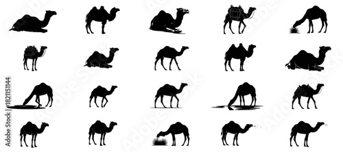 desert ships ancient journeys etched in silhouette, symbols of untamed arid resilience, isolated on transparent background