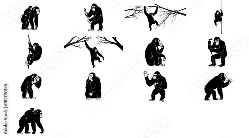 echoes of evolution chimpanzee chronicles of wisdom, connection, and untamed agility, isolated on transparent background