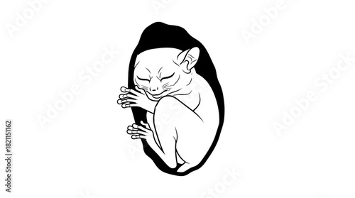 cocooned awakening the subtle genesis of pure being and future life, isolated on transparent background