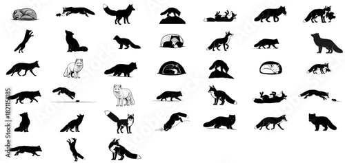 wild instincts, playful spirit the versatile life of the elusive fox, isolated on transparent background