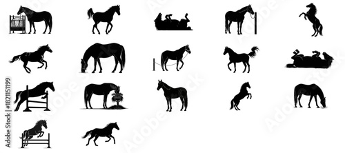 equine expressions a dynamic collection celebrating the horses spirit and diverse journey, isolated on transparent background