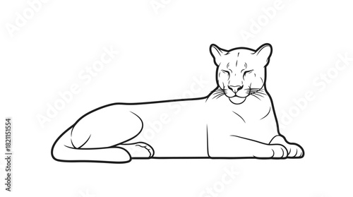 desert monarchs pause elegant line art capturing a pumas quiet majesty, isolated on transparent background