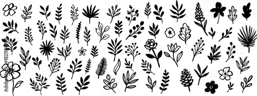 Large collection of hand-drawn botanical silhouettes with leaves, branches, flowers and foliage in bold black shapes, perfect for design projects and patterns
