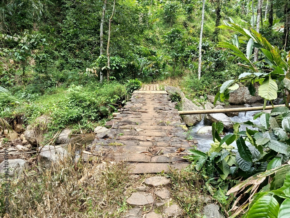 Obraz premium Rustic Bamboo Bridge Over Forest Stream