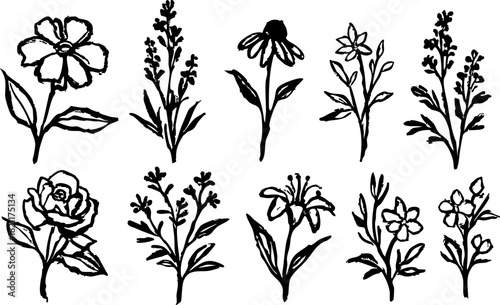 Hand-drawn botanical flower illustrations in black ink, featuring various wildflowers, roses and simple floral stems on a transparent background