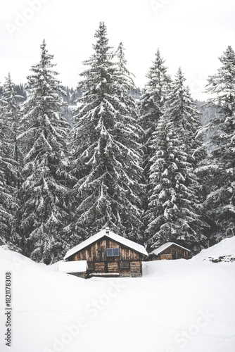 Wooden cabin in snowy winter forest landscape