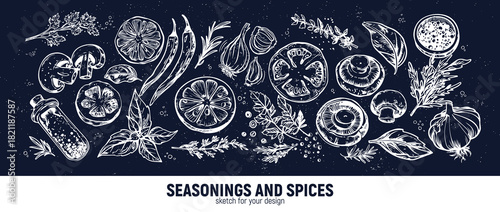 Big set for the menu. Spices and vegetables. Hand drawing sketches
