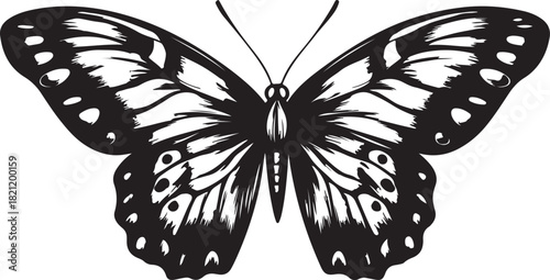 Black swallowtail butterfly vector illustration, isolated insect silhouette design pattern for summer nature decoration