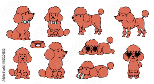 Adorable Poodle Dog Breed Collection Playful Poodles in Various Poses for Design and Decor