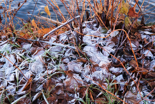 Eiskristalle auf bunten Laub im Wald und auf der Wiese