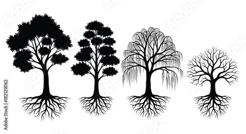 Diverse collection of four detailed black tree silhouettes showing different foliage types and roots isolated vector graphic element set. isolated on white background, Vector, illustration