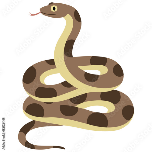 Brown Snake with Dark Spots Coiled up and Tongue Flicking Out on White Background