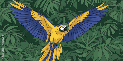 Blue and gold macaw vector parrot illustration with cartoon wings flying design