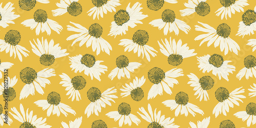 Bright Floral Seamless Pattern With White Chamomile. Abstract background of summer flowering of white Echinacea purpurea. Vector for covers, prints, postcards